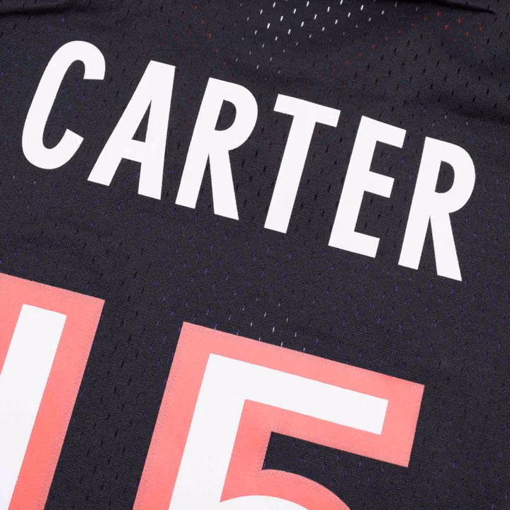Vince Carter #15 Toronto Raptors 1999-00 Swingman NBA Jersey Purple/Black view 4