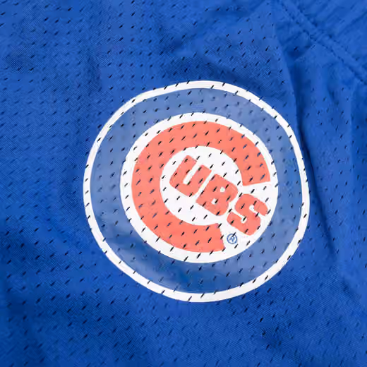Chicago Cubs Clincher Fanatics MLB Mesh Shorts Blue view 4