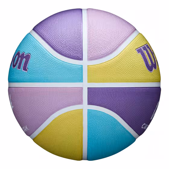 Caitlin Clark Inspire Dreamer Wilson Basketball (Size 6) view 6