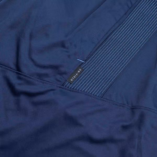Tennessee Titans 2021 NFL On-Field Sideline Nike Shorts Navy view 4