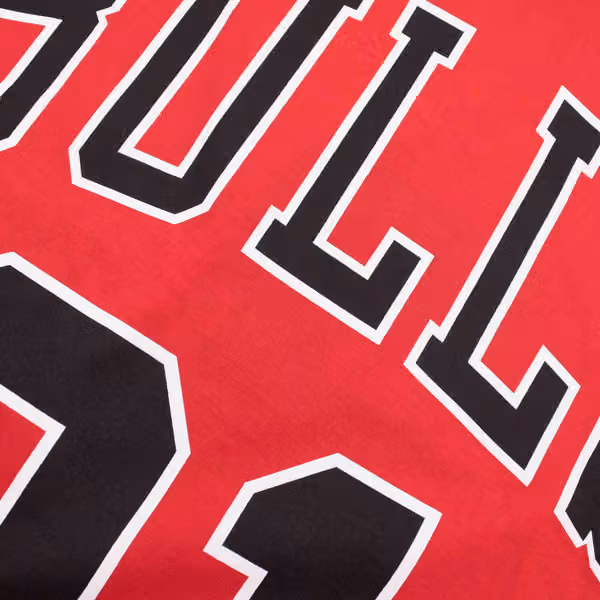 Dennis Rodman #91 Chicago Bulls Mitchell & Ness NBA T-Shirt Red view 3