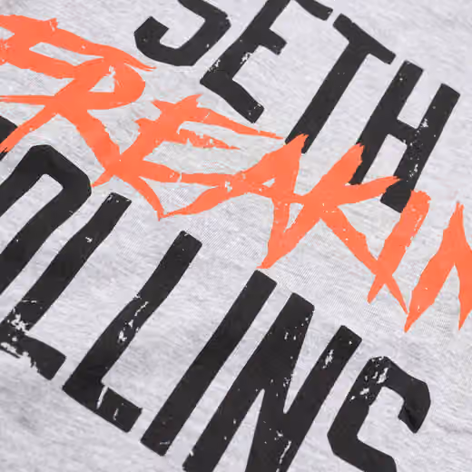 Seth Rollins WWE Superstar T-Shirt Gray view 3