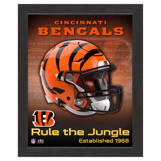 Cincinnati Bengals NFL Team Helmet Framed Photo view 1