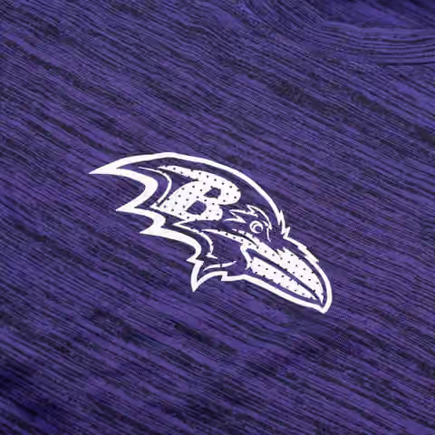 Baltimore Ravens 2025 NFL Sideline Nike Velocity Performance T-Shirt Purple view 4