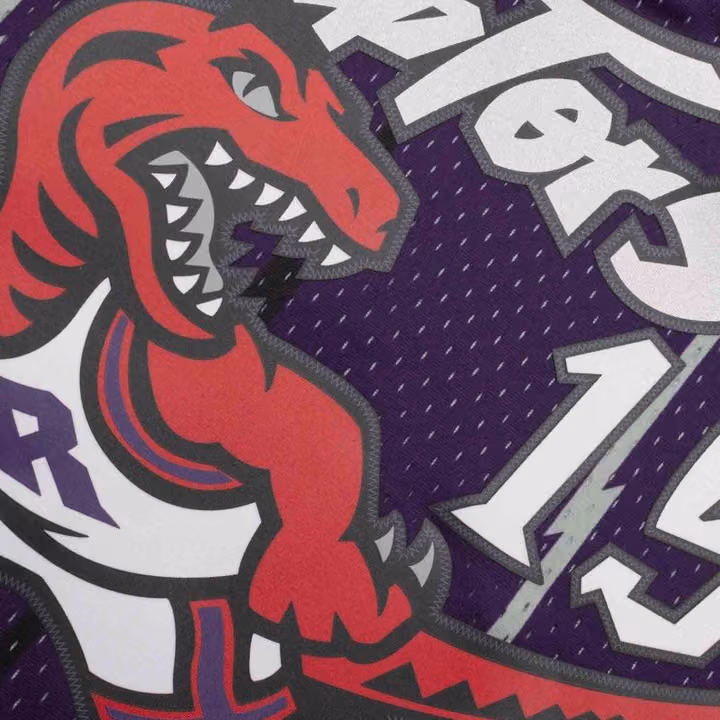 Vince Carter #15 Toronto Raptors 1998-99 Mitchell & Ness Swingman NBA Jersey Purple view 5