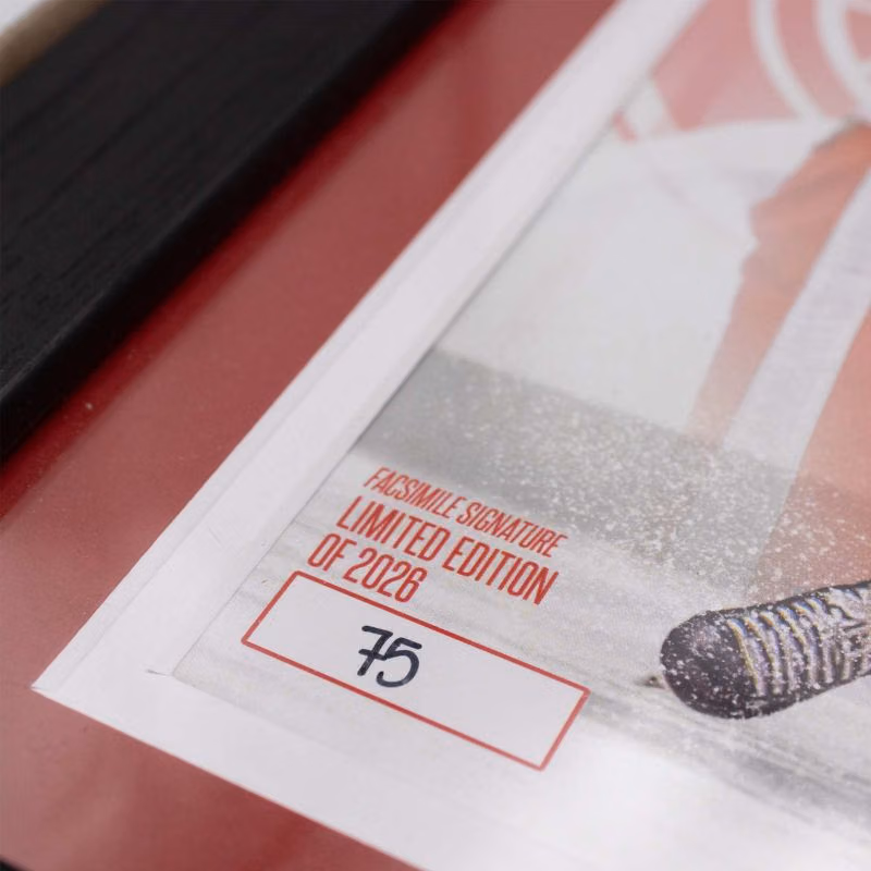 Sergei Fedorov Detroit Red Wings Jersey Retirement Night Silver Coin NHL Photo Frame view 3