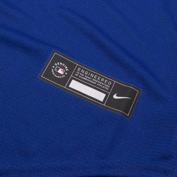 Los Angeles Dodgers Nike MLB Alternate Jersey Blue view 4