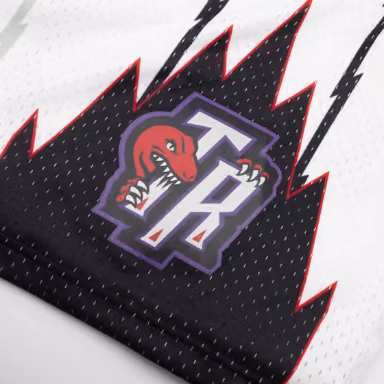 Toronto Raptors 1998-99 Mitchell & Ness Swingman NBA Shorts White view 5