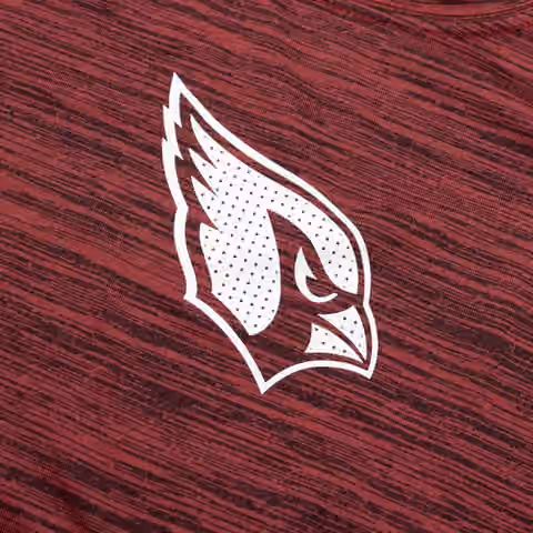 Arizona Cardinals 2025 NFL Sideline Nike Velocity Performance T-Shirt Red view 4