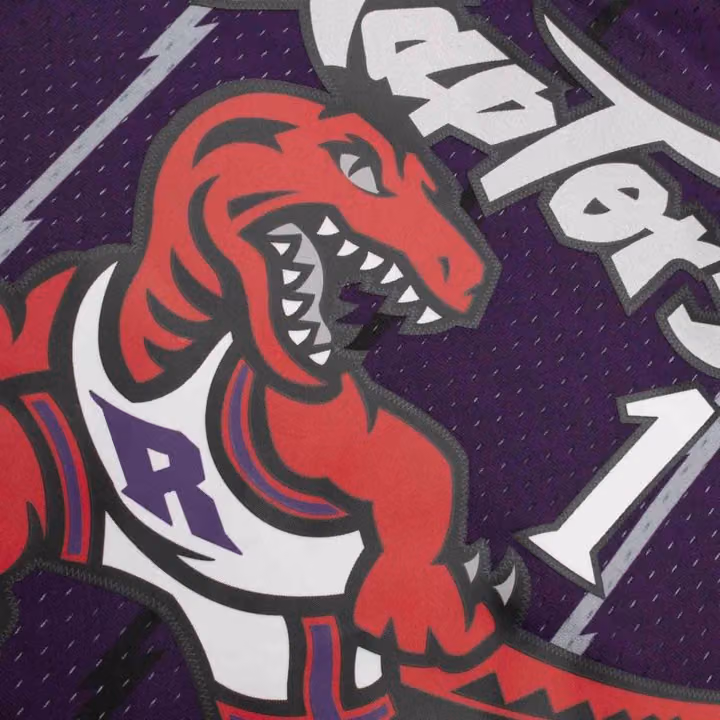 Tracy McGrady #1 Toronto Raptors 1998-99 Mitchell & Ness Swingman NBA Jersey Purple view 5