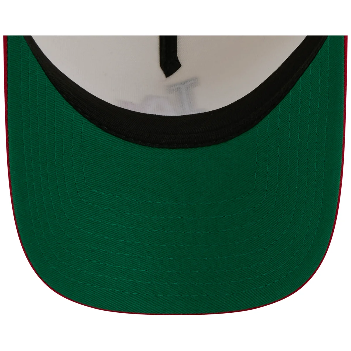 Los Angeles Dodgers Los Angeles Crown the City - MX Flag Fill - Chrome/Red New Era 9FORTY back view