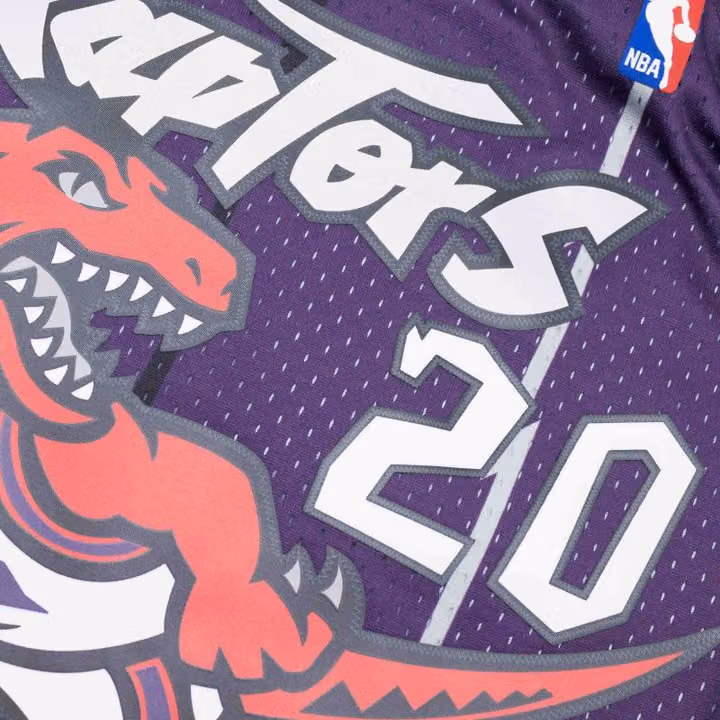 Damon Stoudamire #20 Toronto Raptors 1995-96 Mitchell & Ness Swingman NBA Jersey Purple view 4