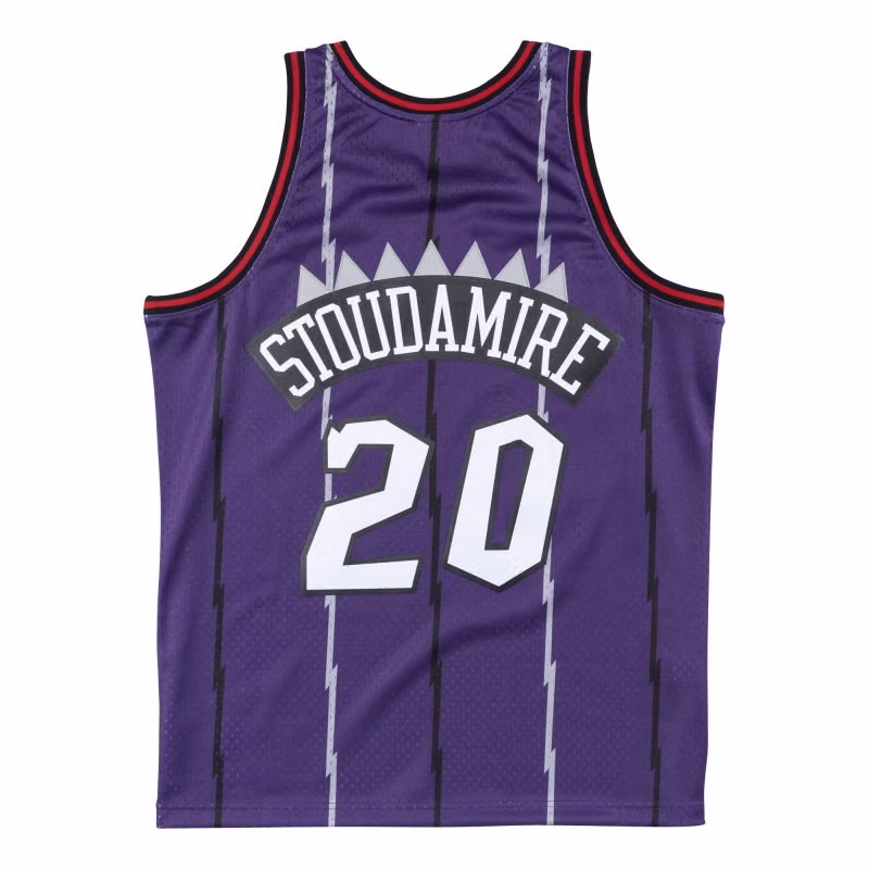 Damon Stoudamire #20 Toronto Raptors 1995-96 Mitchell & Ness Swingman NBA Jersey Purple view 2