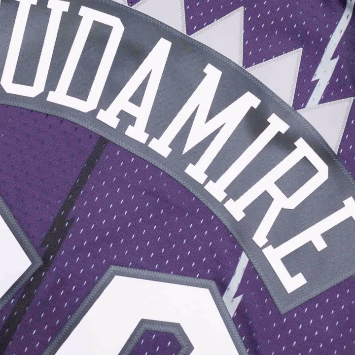 Damon Stoudamire #20 Toronto Raptors 1995-96 Mitchell & Ness Swingman NBA Jersey Purple view 5