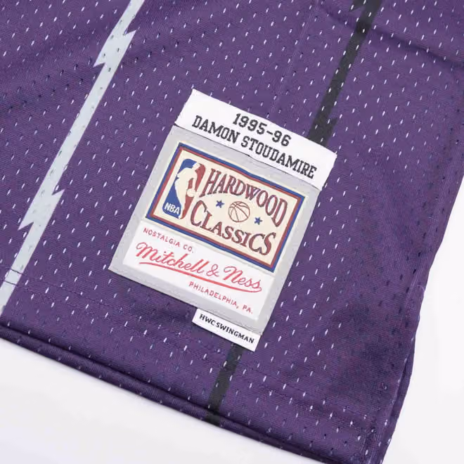 Damon Stoudamire #20 Toronto Raptors 1995-96 Mitchell & Ness Swingman NBA Jersey Purple view 3