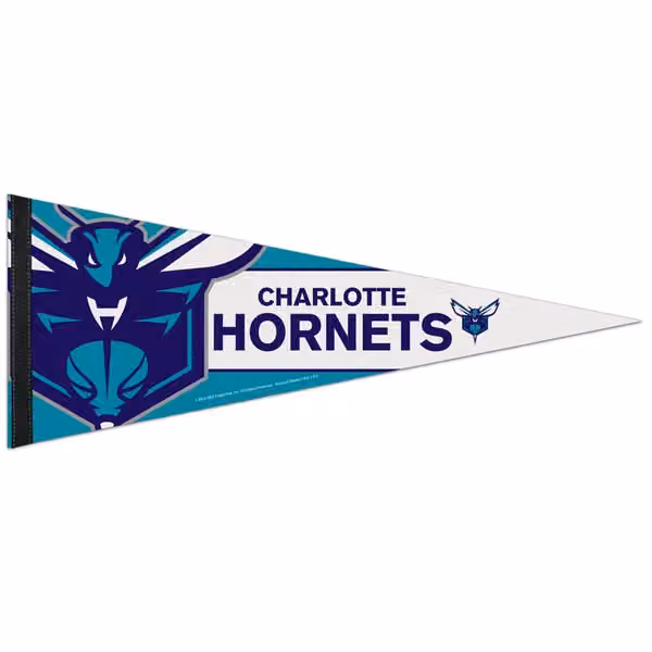 Charlotte Hornets Big Logo Premium NBA Pennant view 1