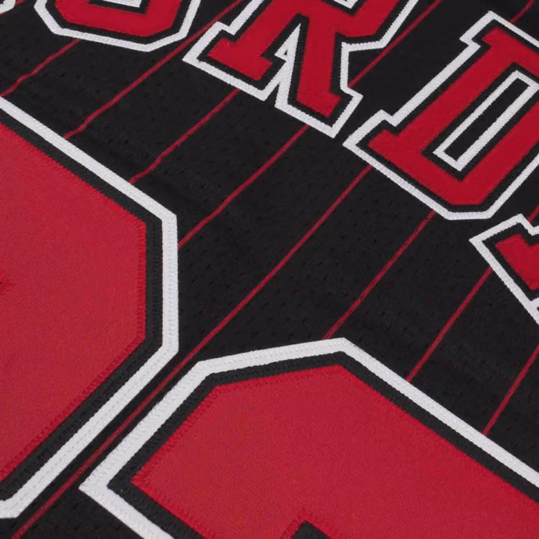 Michael Jordan #23 Chicago Bulls 1995-96 Authentic NBA Jersey Pinstripe view 5