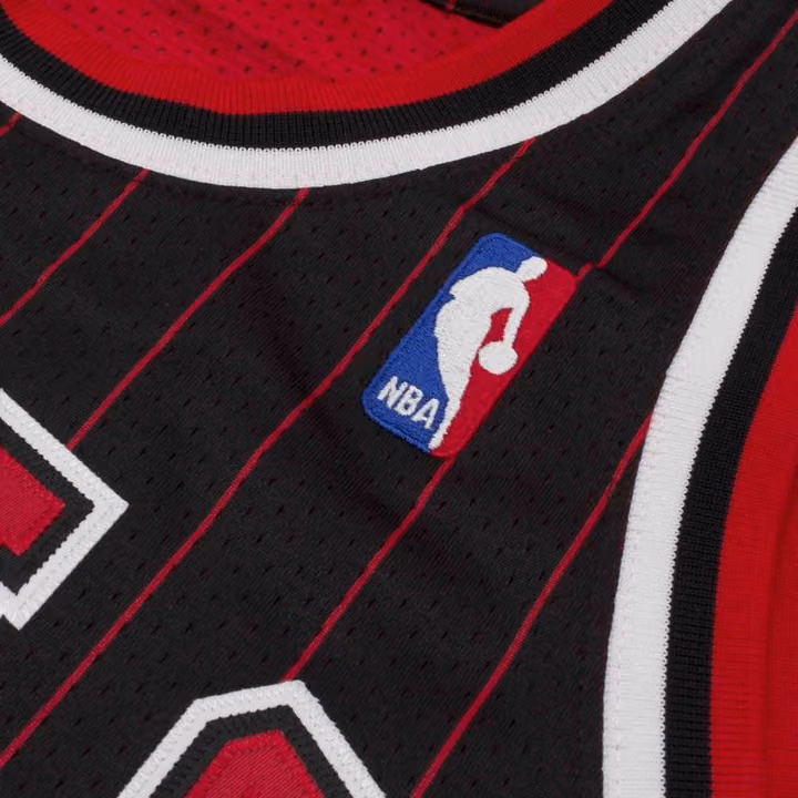 Michael Jordan #23 Chicago Bulls 1995-96 Authentic NBA Jersey Pinstripe view 4