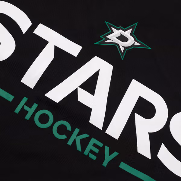Dallas Stars 2025/26 Authentic Pro Rink Tech NHL Hoodie Black view 3