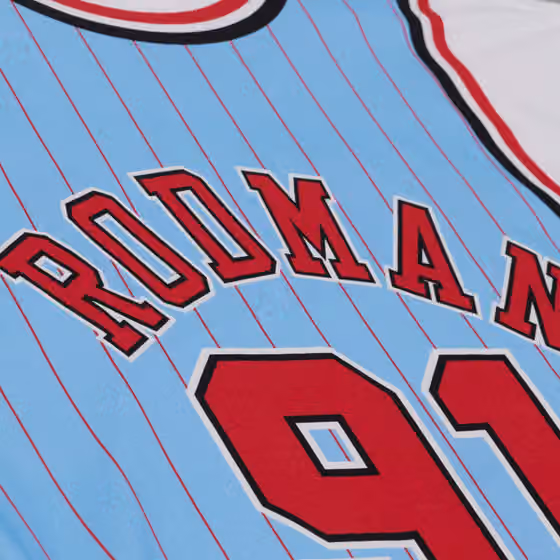 Dennis Rodman #91 Chicago Bulls Backward Jersey T-Shirt Blue view 4