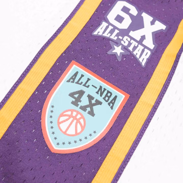 Pau Gasol #16 Los Angeles Lakers HOF 2001-19 Mitchell & Ness Swingman NBA Jersey view 6