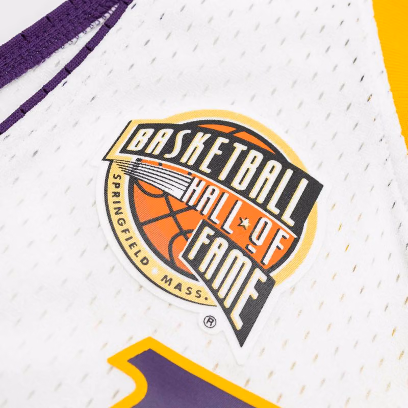 Pau Gasol #16 Los Angeles Lakers HOF 2001-19 Mitchell & Ness Swingman NBA Jersey view 5