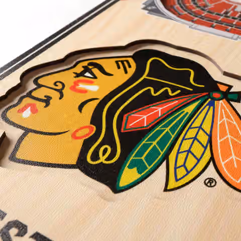 Chicago Blackhawks 3D Stadium NHL Banner view 3