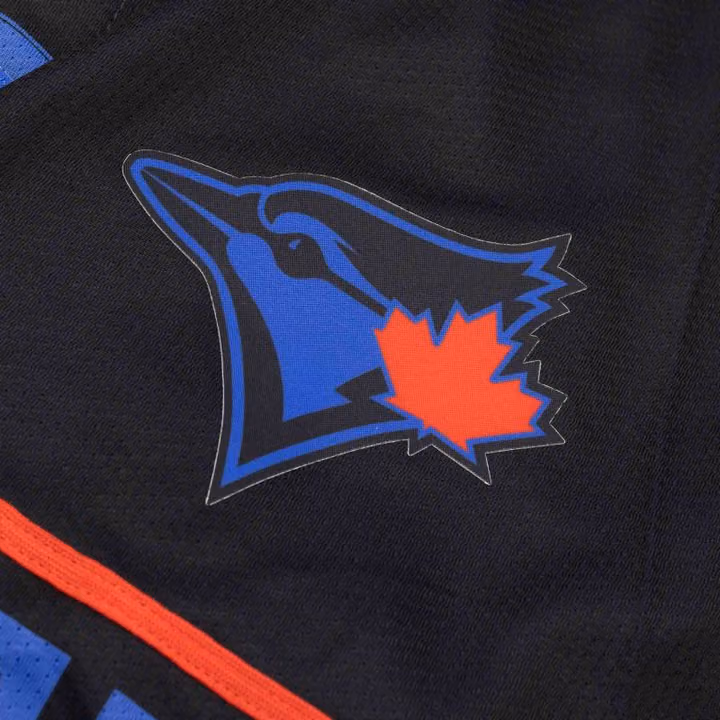 Toronto Blue Jays Limited City Connect MLB Jersey Navy view 4