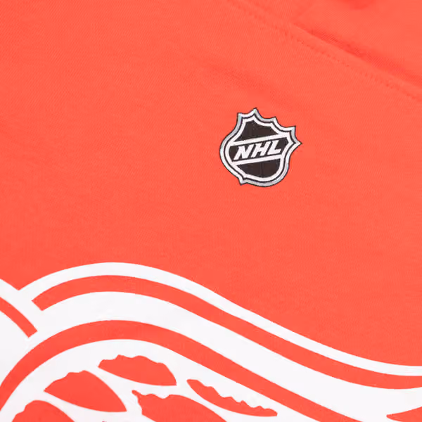 Moritz Seider #53 Detroit Red Wings Player NHL Hoodie Red view 5