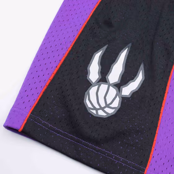 Toronto Raptors 1999-00 Mitchell & Ness Swingman NBA Shorts Purple view 3