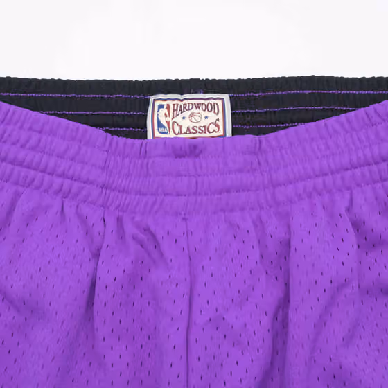 Toronto Raptors 1999-00 Mitchell & Ness Swingman NBA Shorts Purple view 4