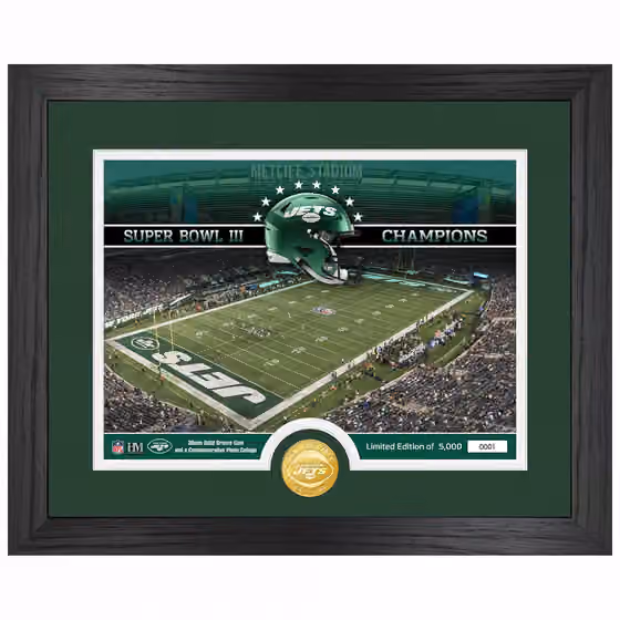 New York Jets Team Stadium Bronze Coin Framed NFL Photo view 1