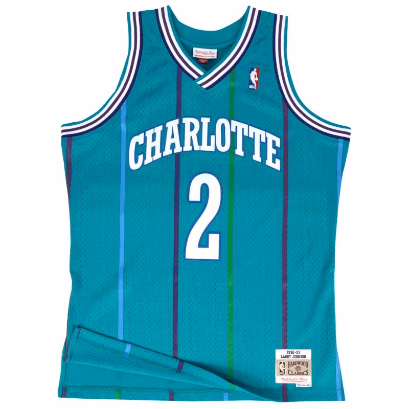 Larry Johnson #2 Charlotte Hornets 1992-93 Mitchell & Ness Swingman NBA Jersey Teal view 1