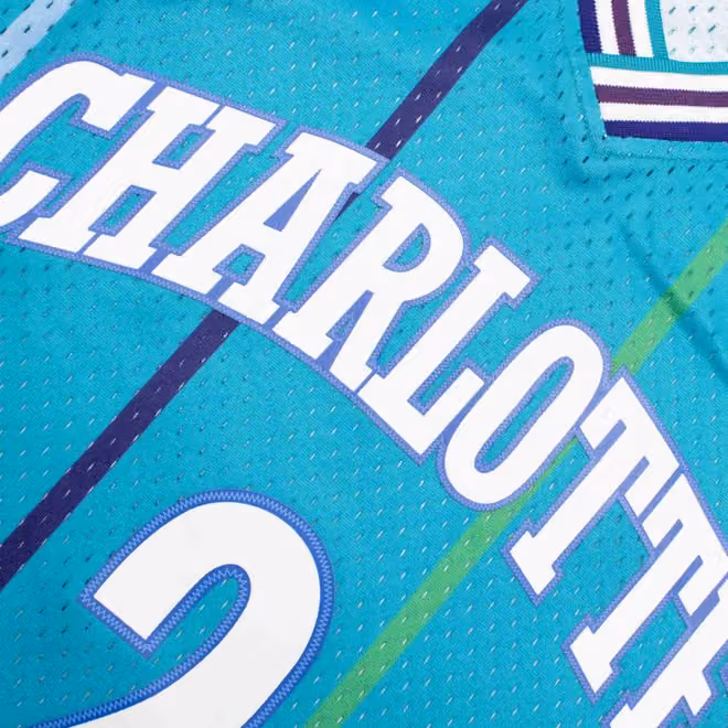Larry Johnson #2 Charlotte Hornets 1992-93 Mitchell & Ness Swingman NBA Jersey Teal view 5