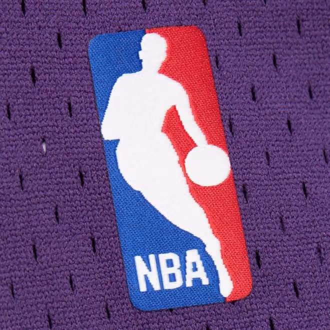 Ron Artest #37 Los Angeles Lakers 2009-10 Mitchell & Ness Swingman NBA Jersey Purple view 5