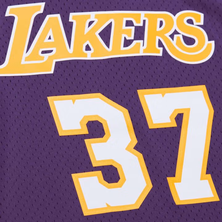 Ron Artest #37 Los Angeles Lakers 2009-10 Mitchell & Ness Swingman NBA Jersey Purple view 4