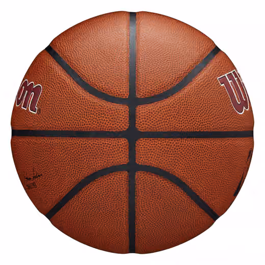 Cleveland Cavaliers Wilson Team Alliance Basketball (Size 7) view 5