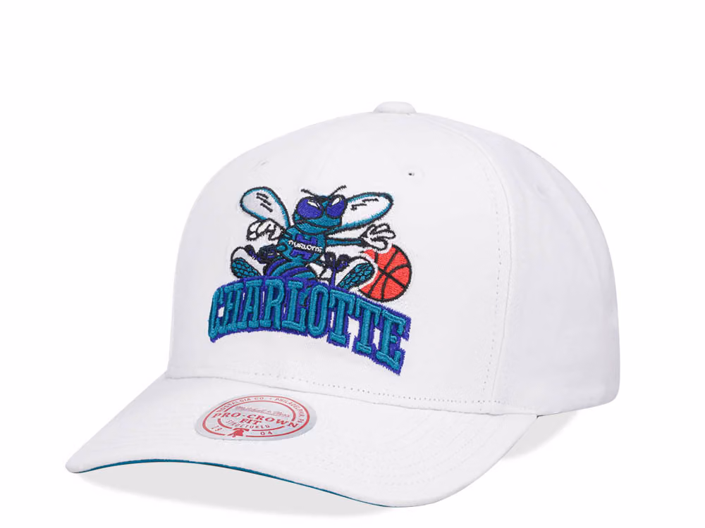 Mitchell & Ness Charlotte Hornets All in Pro White Snapback Hat front