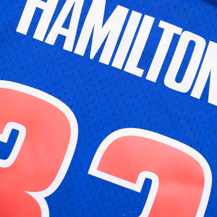 Rip Hamilton #32 Detroit Pistons 2003-04 Mitchell & Ness Swingman NBA Jersey Blue view 4