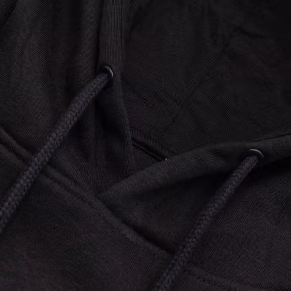 Detroit Lions Illustration NFL Hoodie Black view 4
