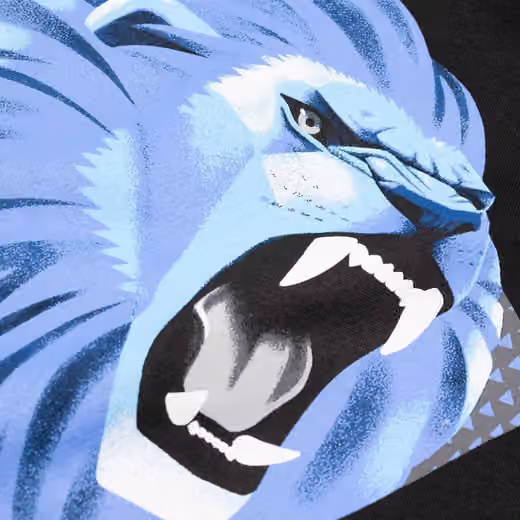 Detroit Lions Illustration NFL Hoodie Black view 3
