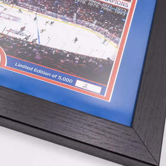 Montreal Canadiens 24-Time Stanley Cup Champions Bronze Coin Framed NHL Photo view 3
