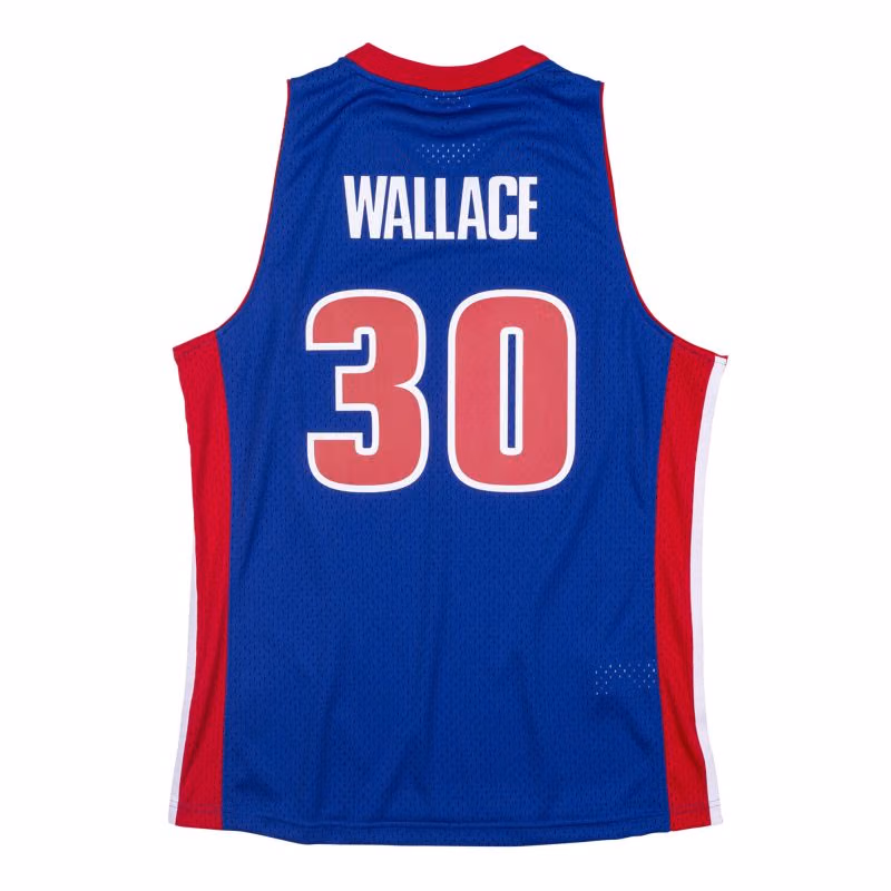 Rasheed Wallace #30 Detroit Pistons 2003-04 Swingman NBA Jersey Blue view 2