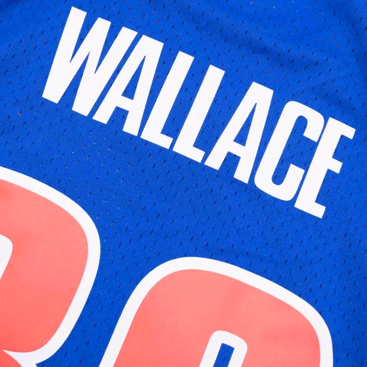 Rasheed Wallace #30 Detroit Pistons 2003-04 Swingman NBA Jersey Blue view 4
