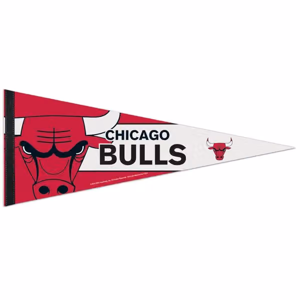 Chicago Bulls Big Logo Premium NBA Pennant view 1