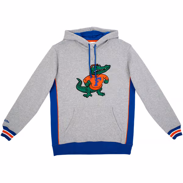Florida Gators Pinnacle Mitchell & Ness Heavyweight Fleece NCAA Hoodie view 1
