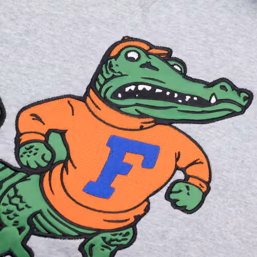 Florida Gators Pinnacle Mitchell & Ness Heavyweight Fleece NCAA Hoodie view 3