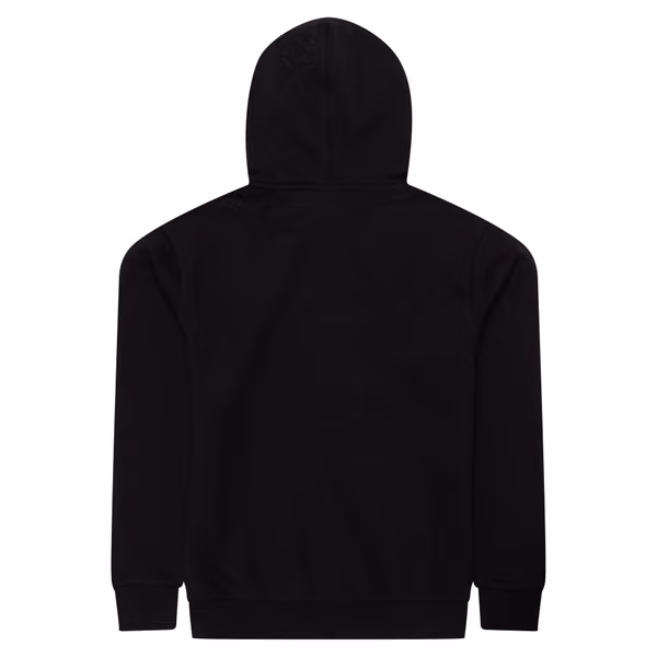 Baltimore Orioles Team Logo MLB Hoodie Black view 2