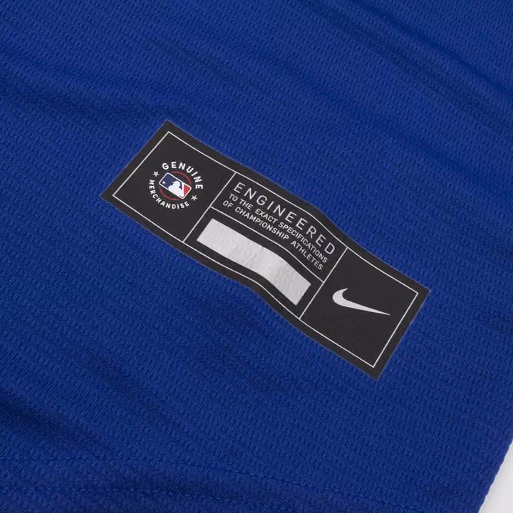 Toronto Blue Jays Nike MLB Alternate Jersey Blue view 4