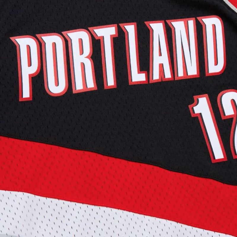 Lamarcus Aldridge #12 Portland Trail Blazers 2006-07 Mitchell & Ness Swingman NBA Jersey Black view 4